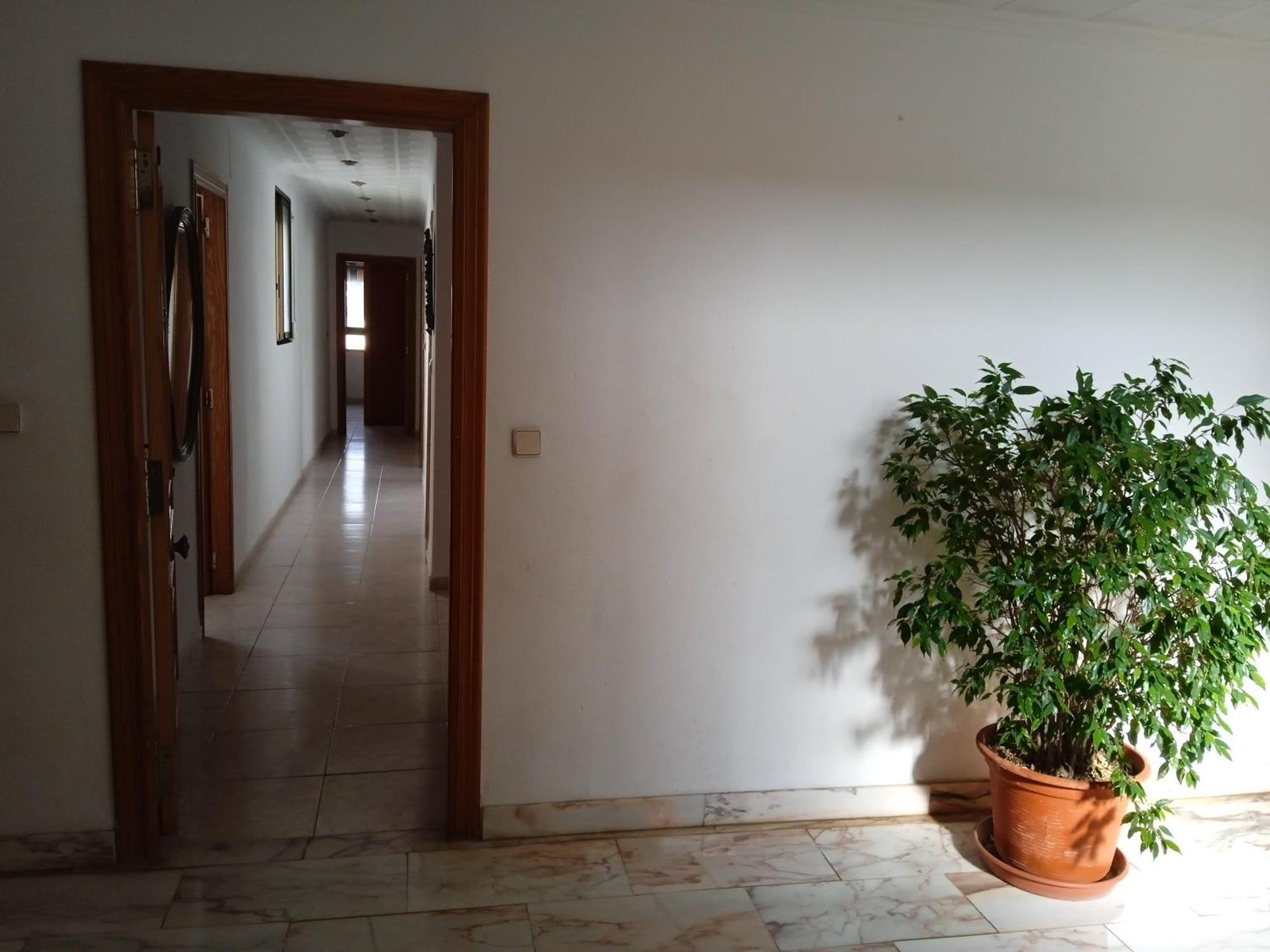 Con 2 Y 3 Camas, Bano, Cocina Y Lavadora Homestay